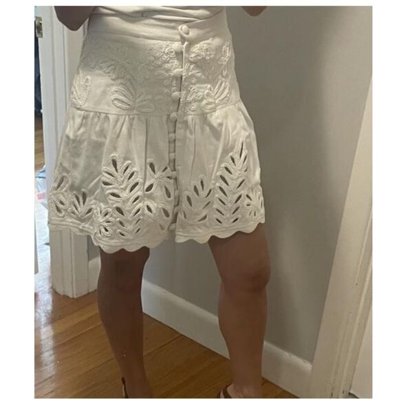 Anthropologie Ivory Drop-Waist Embroidered Eyelet Skirt - Picture 11 of 11